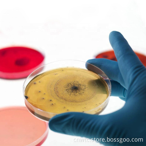 High-Quality Boro Glass Petri Dish for Culturing Animals, Plants, and Bacteria